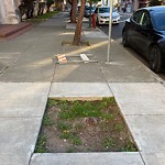 Curb & Sidewalk Issues at Intersection Of Cook St & End (000 Block Of)
