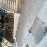 Curb & Sidewalk Issues at 233 Central Ave Haight Ashbury