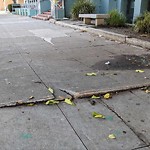 Curb & Sidewalk Issues at 1208 Noe St
