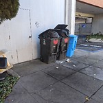 Garbage Containers at 1900 Noriega St Outer Sunset