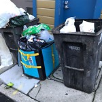 Garbage Containers at 245 Lily St