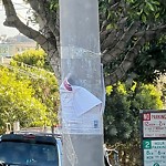 Illegal Postings at Intersection Of Baker St & Clay St