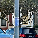 Illegal Postings at Intersection Of Clay St & Walnut St