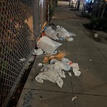 Street or Sidewalk Cleaning at 432 Octavia St