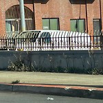 Curb & Sidewalk Issues at Intersection Of Geary Blvd & Presidio Ave