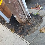 Curb & Sidewalk Issues at 2401 23rd St