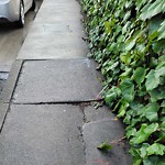 Curb & Sidewalk Issues at 2337 23rd St