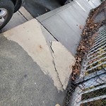 Curb & Sidewalk Issues at 2301 23rd St