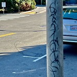 Graffiti at 3601 California St