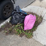 Street or Sidewalk Cleaning at 1290 Shafter Ave