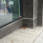 Street or Sidewalk Cleaning at 5083 Mission St