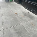 Street or Sidewalk Cleaning at 484 Ellis St