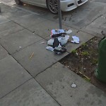 Street or Sidewalk Cleaning at 4463 Mission St