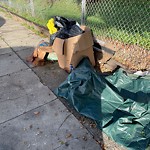 Street or Sidewalk Cleaning at 207 Thornton Ave