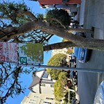 Parking & Traffic Sign Repair at 3885 Jackson St Presidio Heights