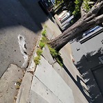 Curb & Sidewalk Issues at 2508 19th St