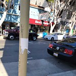Illegal Postings at 2773 24th St