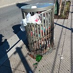 Garbage Containers at 3750 3rd St