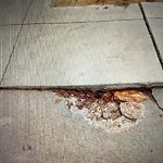 Curb & Sidewalk Issues at 1899 Fillmore St Lower Pacific Heights
