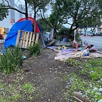 Encampment at Intersection Of Geary Blvd & Masonic Ave