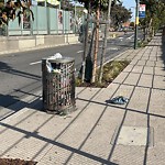 Garbage Containers at 3795 3rd St