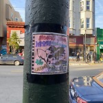 Illegal Postings at 1556 Haight St