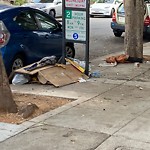 Street or Sidewalk Cleaning at 15 Hartford St