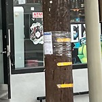 Illegal Postings at Intersection Of Fillmore St & Page St
