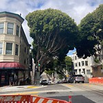Tree Maintenance at Intersection Of Hyde St & Pacific Ave