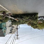 Tree Maintenance at 140 20th Ave Lake Street