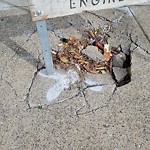 Pothole & Street Issues at 655 21st Ave Outer Richmond