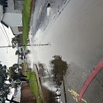 Flooding, Sewer & Water Leak Issues at Gateview Ave & Mason Ct