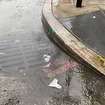 Flooding, Sewer & Water Leak Issues at Intersection Of 10th St & Minna St