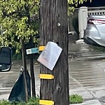 Illegal Postings at Intersection Of Elizabeth St & Hoffman Ave