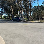 Park Requests at Intersection Of 25th Ave & Eucalyptus Dr