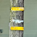 Illegal Postings at Intersection Of 20th St & Collingwood St