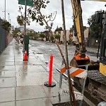 Curb & Sidewalk Issues at 925 Golden Gate Ave