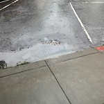 Flooding, Sewer & Water Leak Issues at 1132 Greenwich St