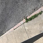 Curb & Sidewalk Issues at 360 Steiner St Lower Haight