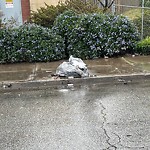 Street or Sidewalk Cleaning at 750 Phelps St