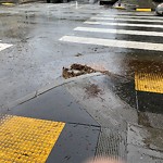 Flooding, Sewer & Water Leak Issues at 1200 Steiner St