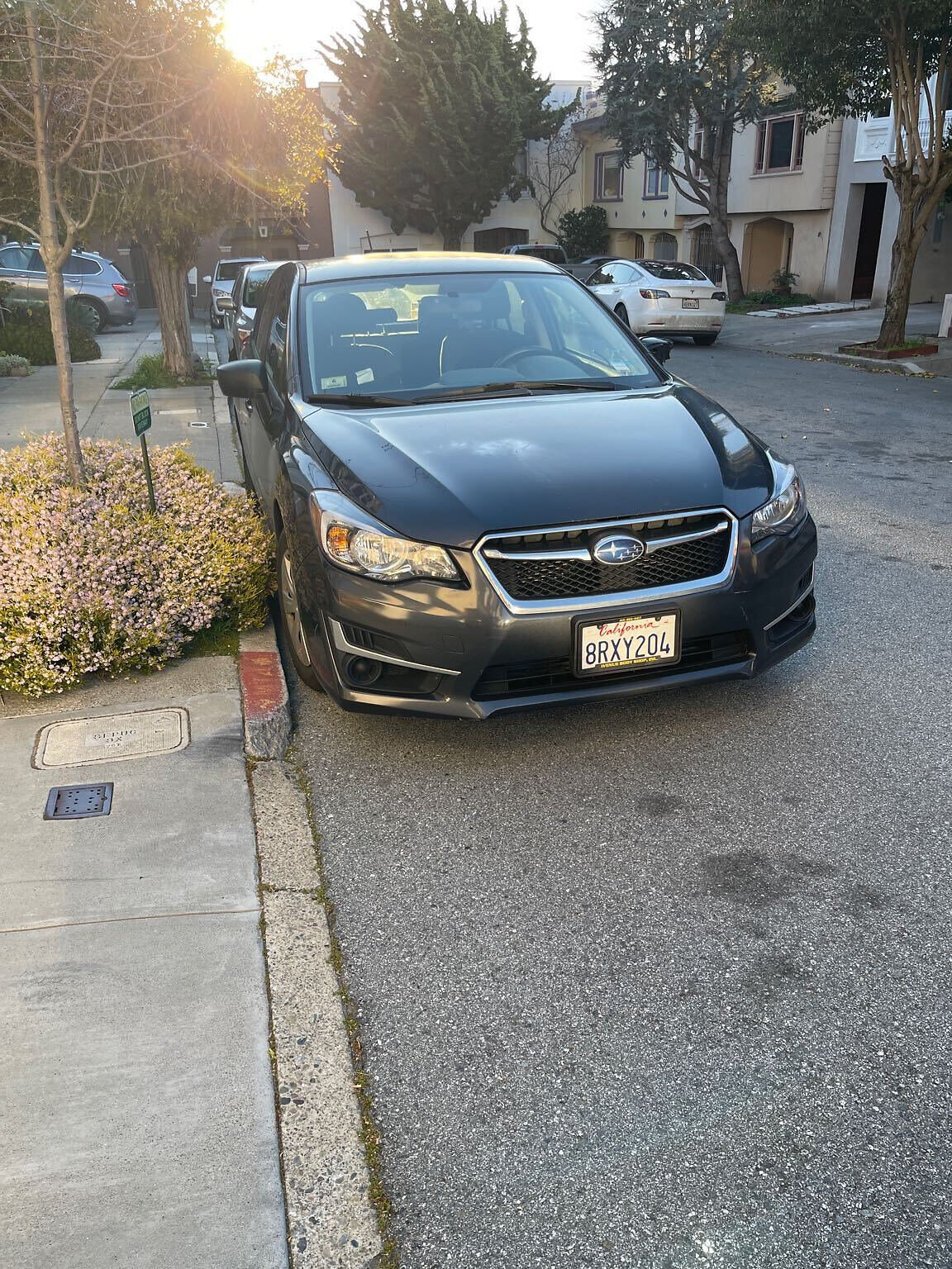 Photo of car in the street with license plate 8RXY204 in California