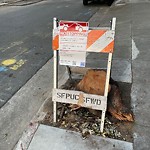 Illegal Postings at Intersection Of Priest St & End (000 Block Of)