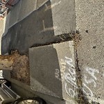 Curb & Sidewalk Issues at 851 San Jose Avenue Bernal Heights