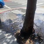 Flooding, Sewer & Water Leak Issues at 110 Van Ness Ave
