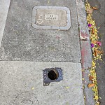 Curb & Sidewalk Issues at 308 San Jose Ave