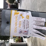 Illegal Postings at 166 Caselli Ave Eureka Valley