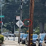 Illegal Postings at 876 43rd Ave Outer Richmond