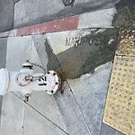 Flooding, Sewer & Water Leak Issues at Mariposa St & Alabama St Mission District Sf