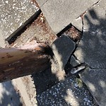 Curb & Sidewalk Issues at 1867 27th Ave Outer Sunset